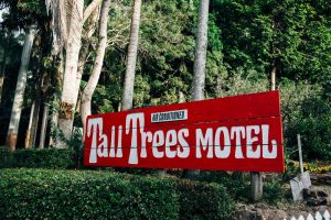 Tall Trees Motel Mountain Retreat - Surfers Gold Coast